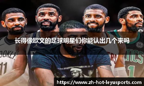 乐鱼体育官网网页版