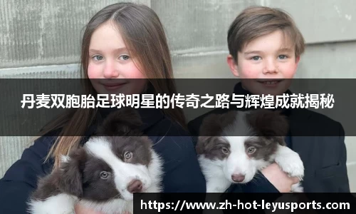 乐鱼体育官网网页版